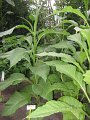 IMG_8573