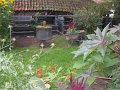 IMG_8575