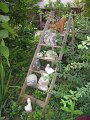 IMG_8580