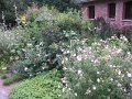 IMG_8582