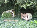 IMG_8583