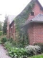 IMG_8584