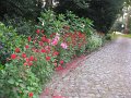 IMG_8586