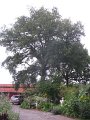 IMG_8587