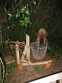 IMG_8590