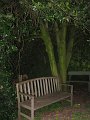 IMG_8591