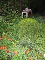IMG_8595