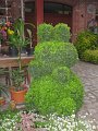 IMG_8608
