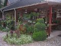 IMG_8609