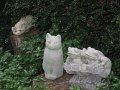IMG_8610
