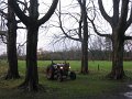 IMG_6530