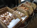 IMG_6603
