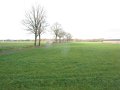 IMG_6739