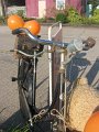 IMG_3441