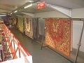IMG_3514