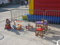 IMG_3523