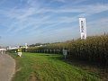 IMG_2600
