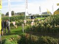 IMG_2605