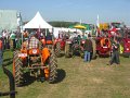 IMG_2779