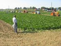 IMG_2802