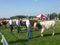 IMG_2902