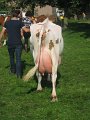 IMG_2909