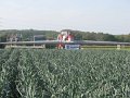 IMG_2963