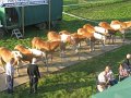 IMG_3024