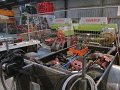 IMG_9487