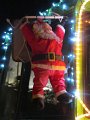 IMG_1198