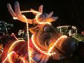 IMG_1208