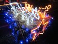 IMG_1218
