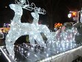 IMG_1230