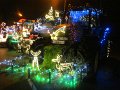 IMG_1251