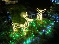 IMG_1252