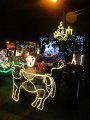 IMG_1253