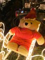 IMG_1264