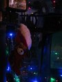 IMG_1276