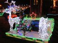 IMG_1303