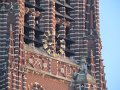 IMG_8568