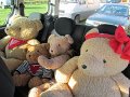 IMG_8819
