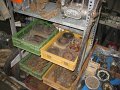 IMG_8877