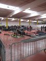 IMG_8128