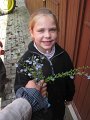 IMG_3125