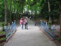 IMG_3135