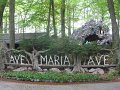 IMG_3136