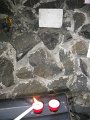 IMG_3142