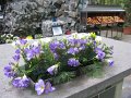 IMG_3143