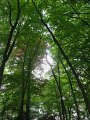 IMG_3144