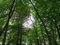 IMG_3145